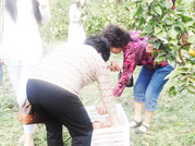 张家港港城推荐：绿色水果对健康的好处